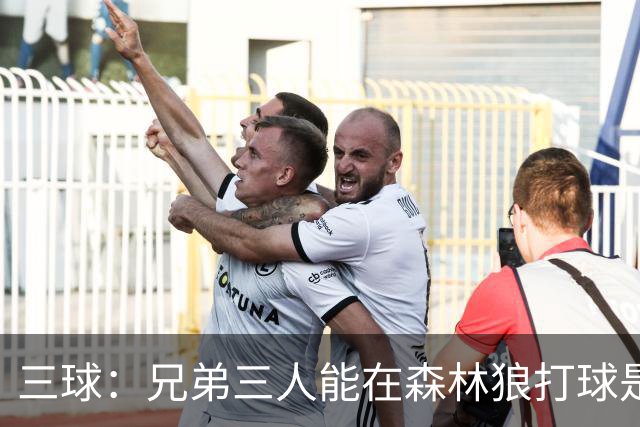 三球：兄弟三人能在森林狼打球是梦想成真 到时让大球打控卫
