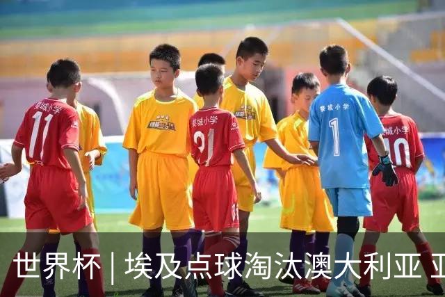 世界杯 | 埃及点球淘汰澳大利亚 亚洲区球队全部出局