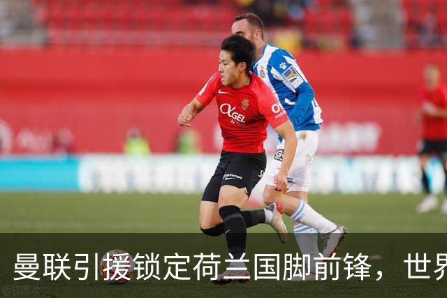 曼联引援锁定荷兰国脚前锋，世界杯3场3球，将成锋线支点完美答案