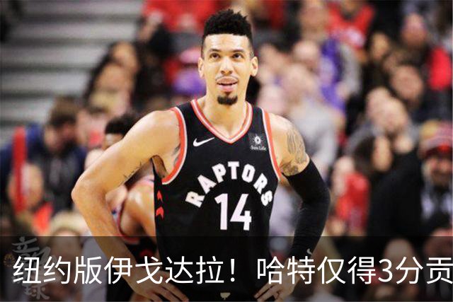 纽约版伊戈达拉！哈特仅得3分贡献值却拉满 终极粘合剂谁不爱他？